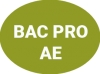 Baccalauréat Professionnel AE (Agroéquipement)